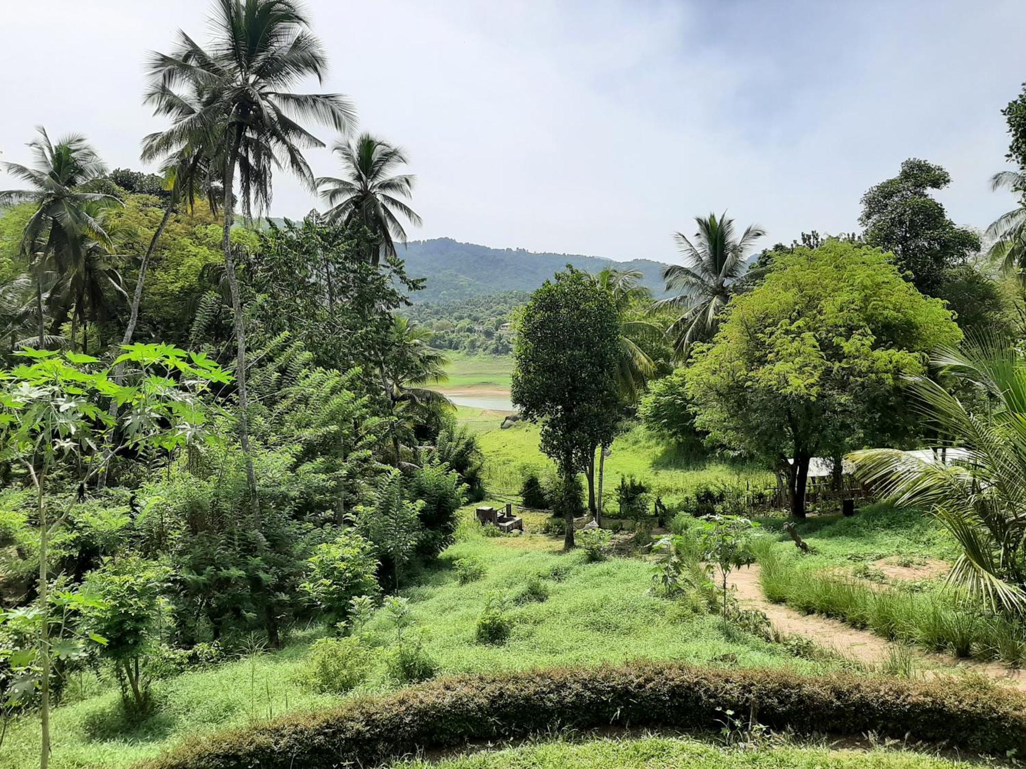 Victoria Views Resort Kandy Дигана Екстериор снимка
